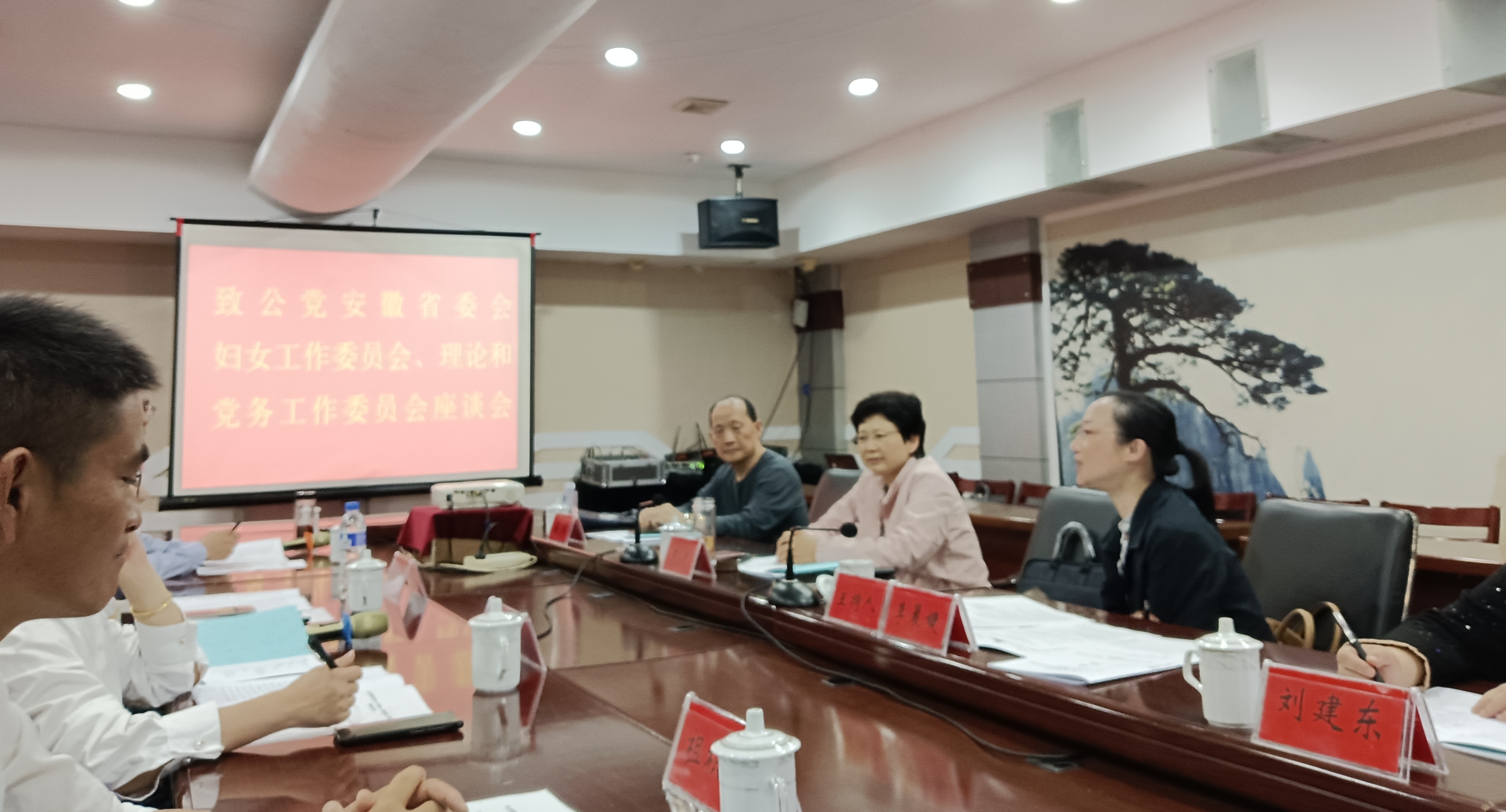 致公党安徽省委会妇女工作委员会、理论和党务工作委员会赴安庆开...