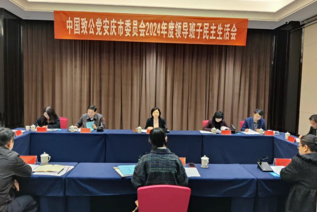 陶仪声出席致公党安庆市委会2024年度领导班子民主生活会